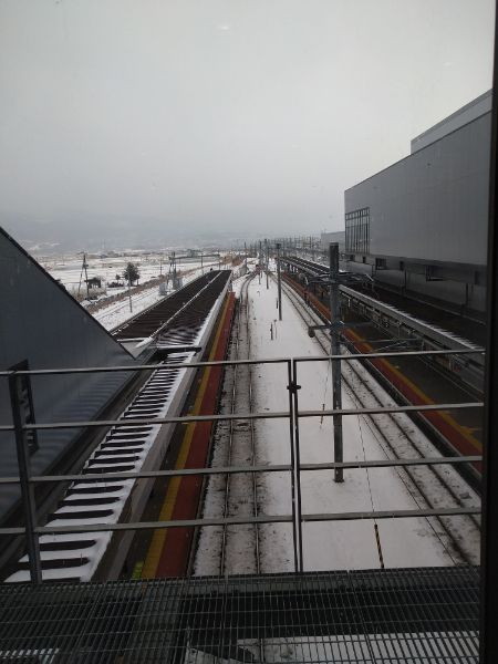 f:id:todorirannpu:20201228115553j:plain