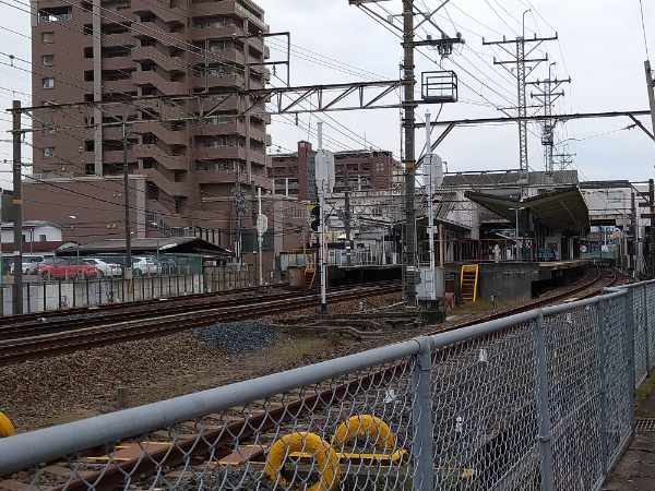 f:id:todorirannpu:20210603232343j:plain