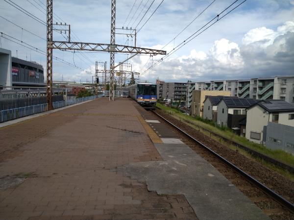 f:id:todorirannpu:20210928133849j:plain
