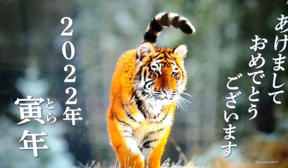 f:id:todorirannpu:20220103004157j:plain