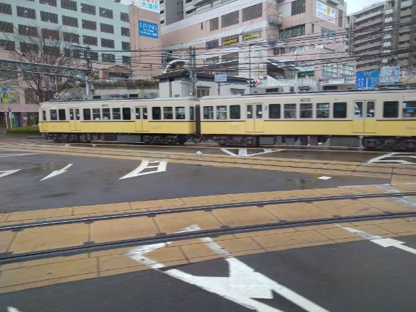 f:id:todorirannpu:20220308100018j:plain
