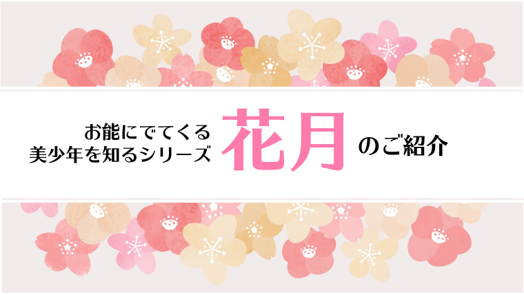 f:id:todoroki_megane:20210120083227j:plain
