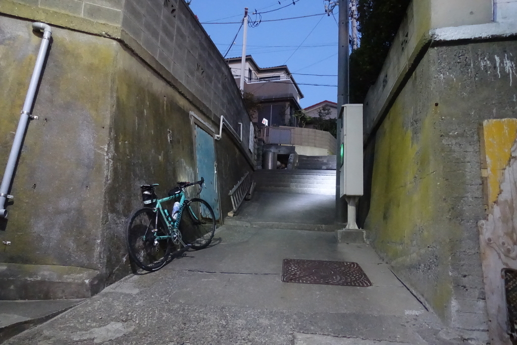 f:id:toei-sportif:20190105202859j:plain