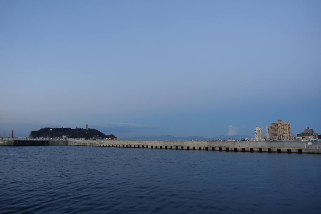 f:id:toei-sportif:20190105203041j:plain