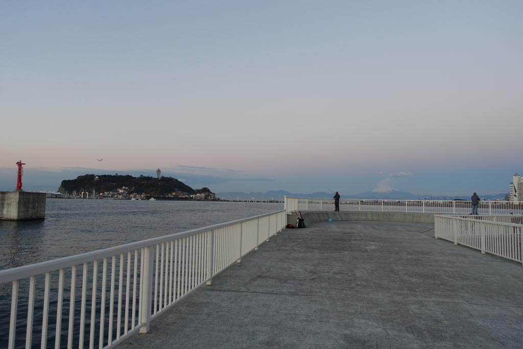 f:id:toei-sportif:20190105203239j:plain