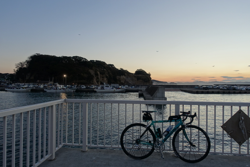 f:id:toei-sportif:20190105203316j:plain