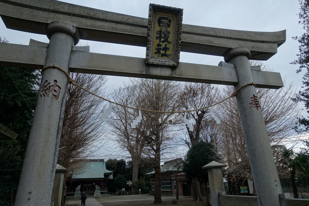 f:id:toei-sportif:20190106182110j:plain