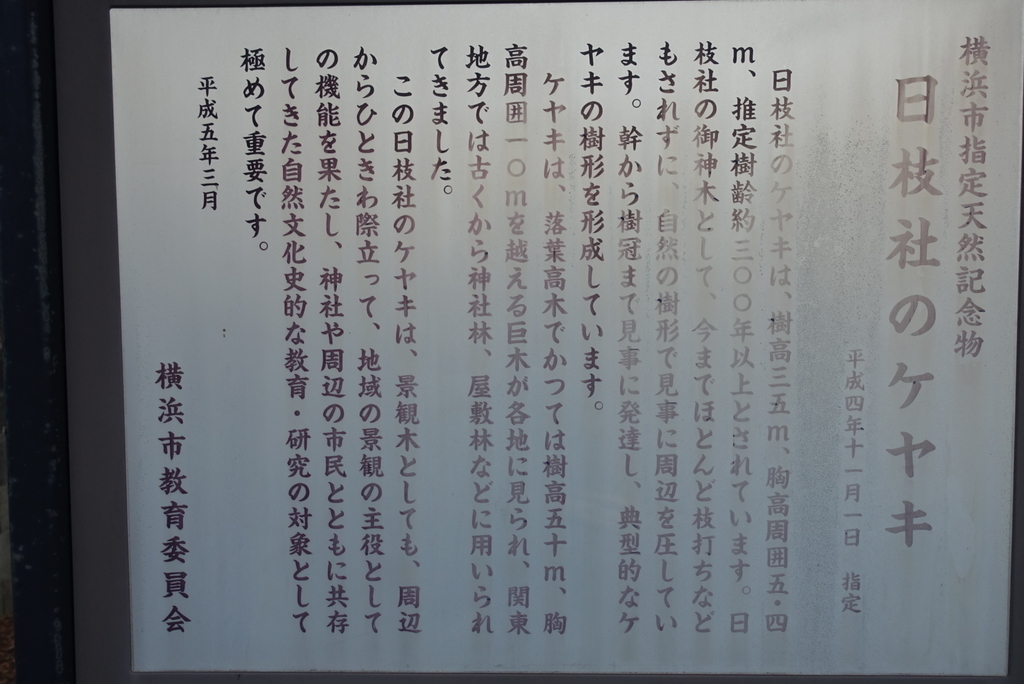 f:id:toei-sportif:20190106182130j:plain