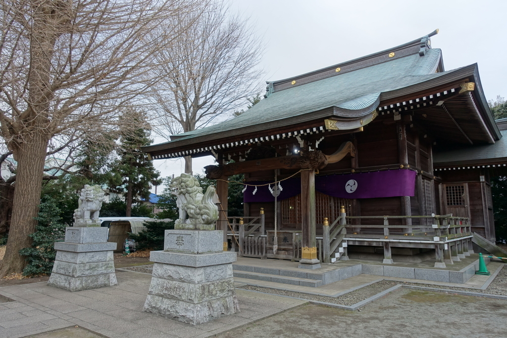 f:id:toei-sportif:20190106182204j:plain