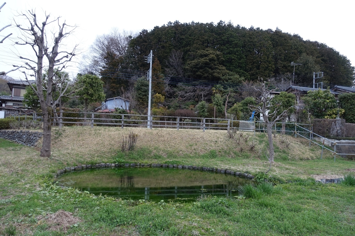 f:id:toei-sportif:20190323190648j:plain