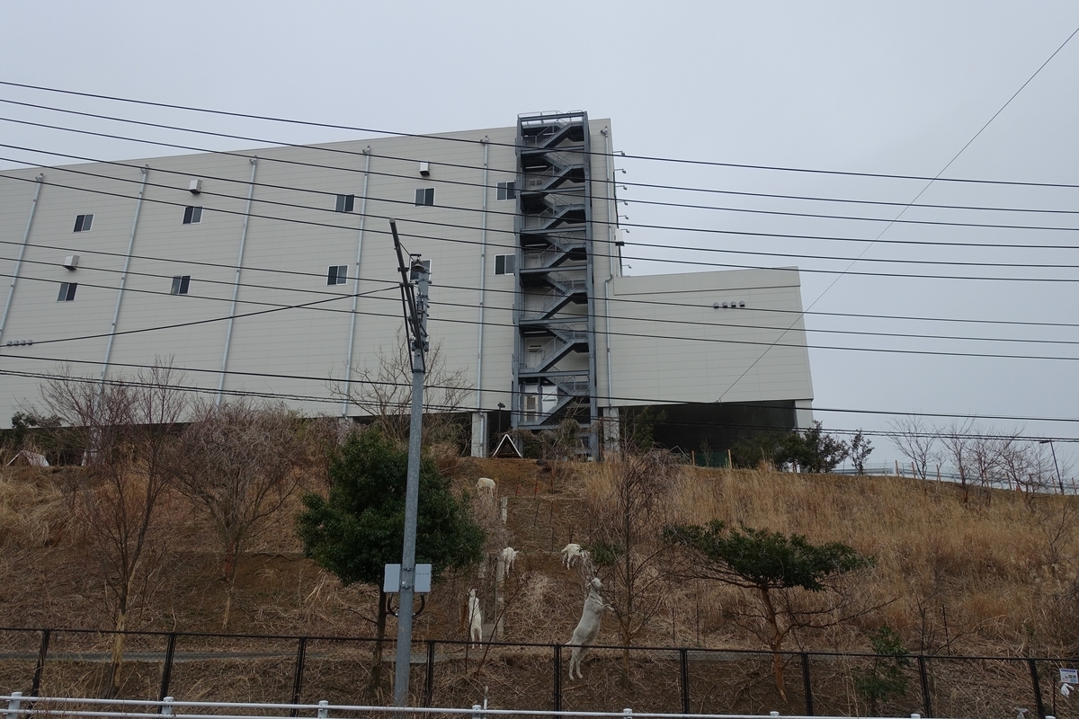 f:id:toei-sportif:20190323190751j:plain