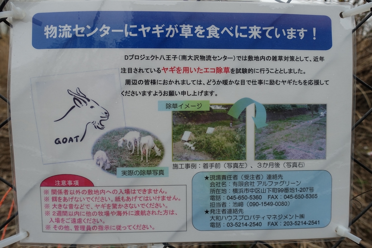 f:id:toei-sportif:20190323190937j:plain