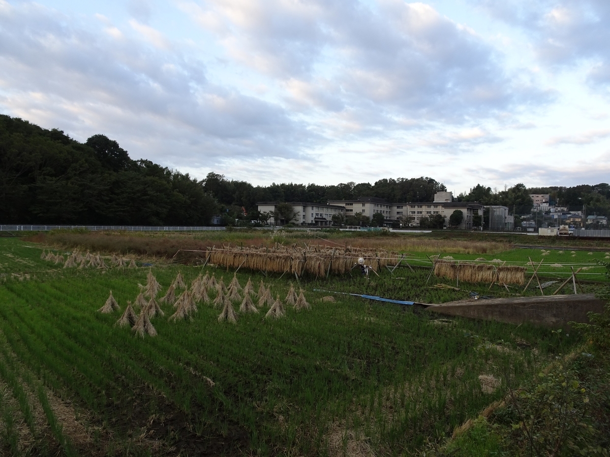 f:id:toei-sportif:20191110105642j:plain