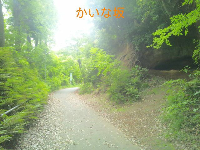 f:id:toei-sportif:20200629182629j:plain f:id:toei-sportif:20200629182629j:plain