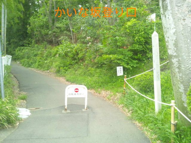 f:id:toei-sportif:20200629182638j:plain f:id:toei-sportif:20200629182638j:plain