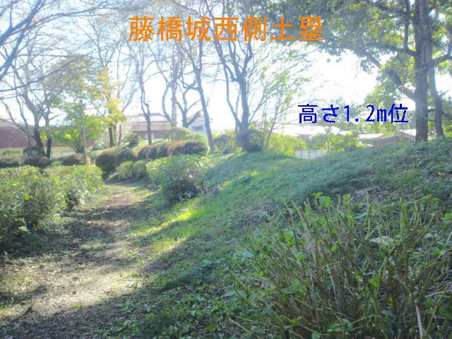 f:id:toei-sportif:20201112211734j:plain