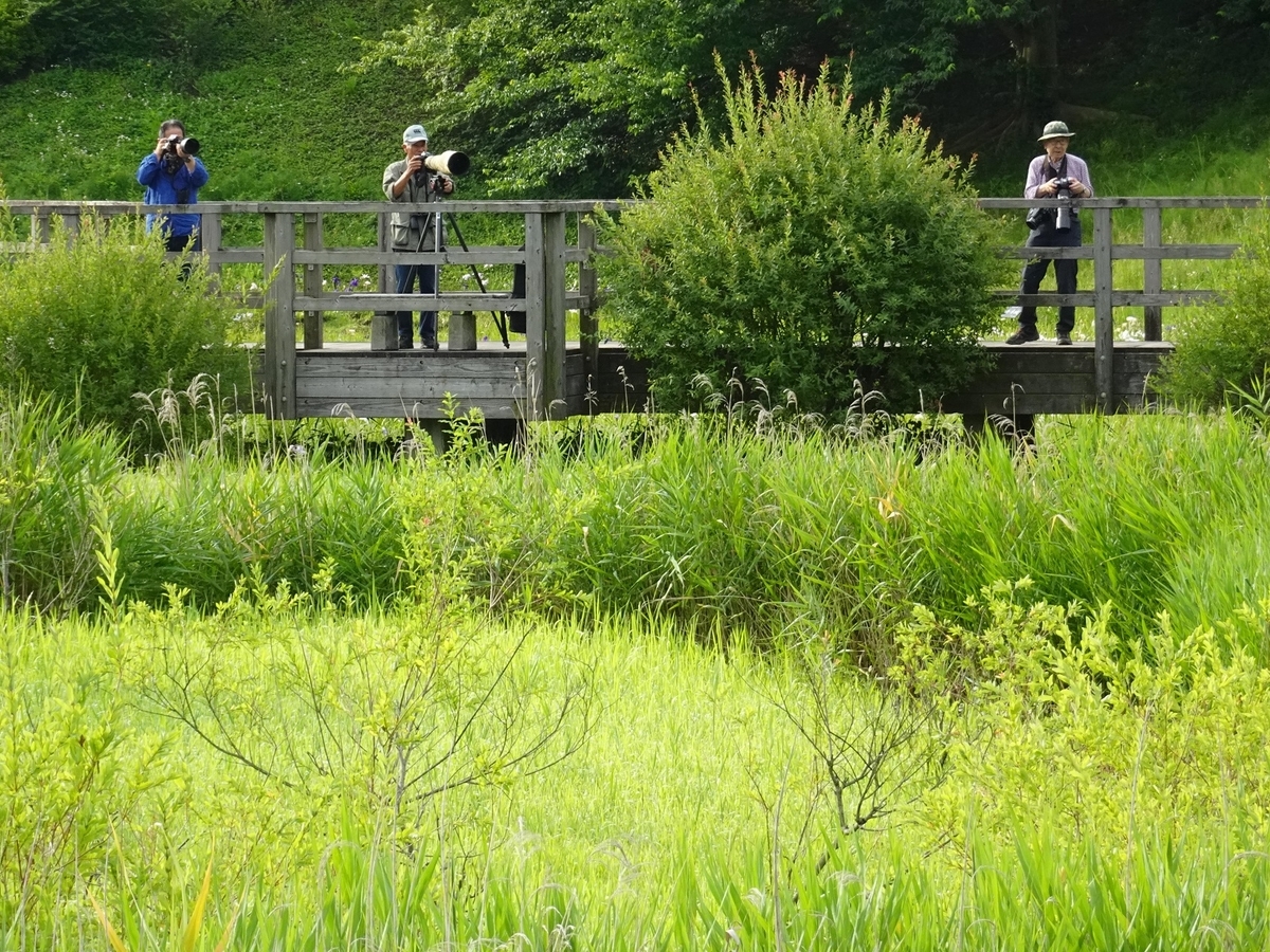 f:id:toei-sportif:20210613130429j:plain