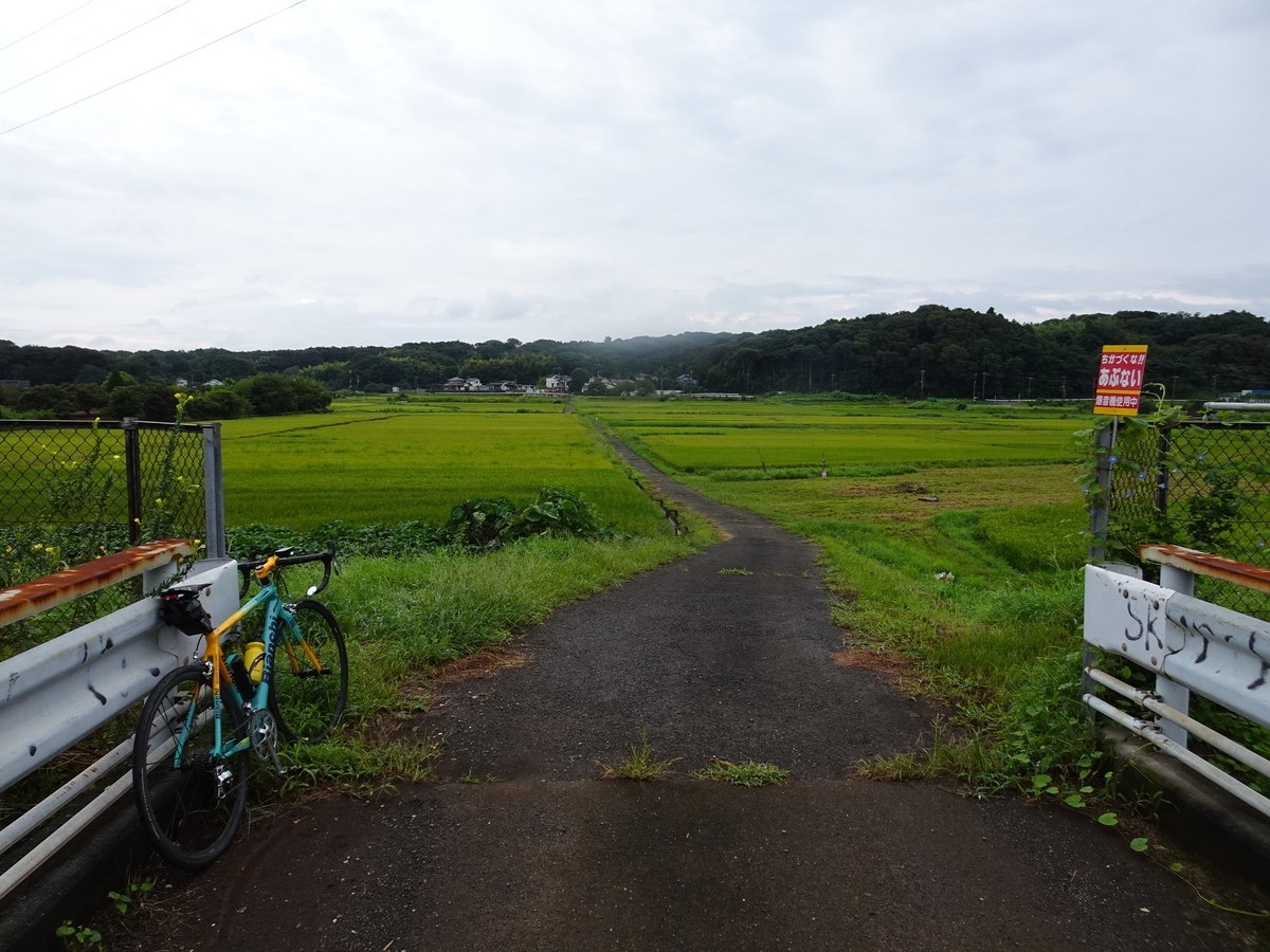 f:id:toei-sportif:20210904180551j:plain