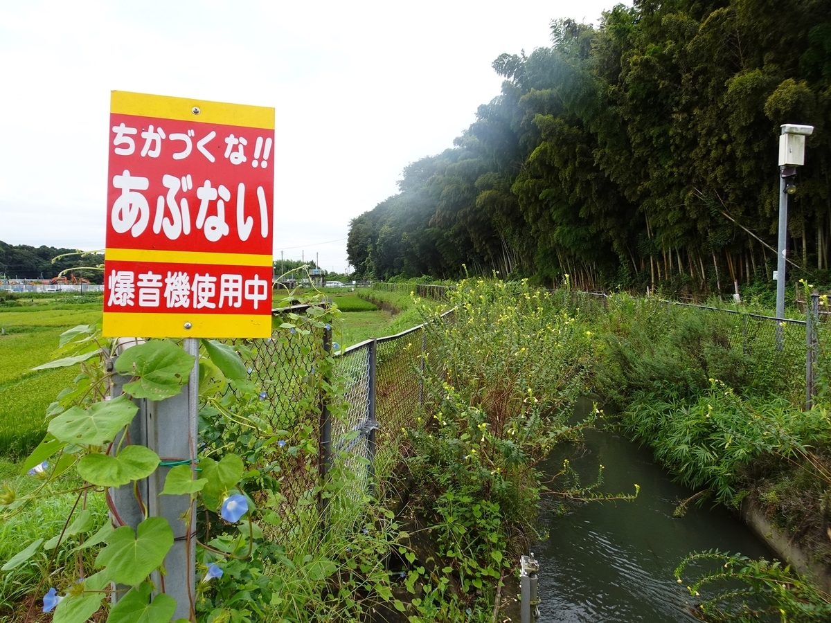 f:id:toei-sportif:20210904180616j:plain