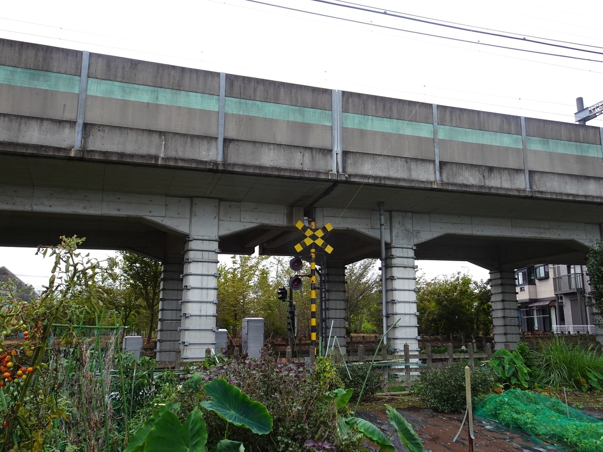 f:id:toei-sportif:20210904181437j:plain