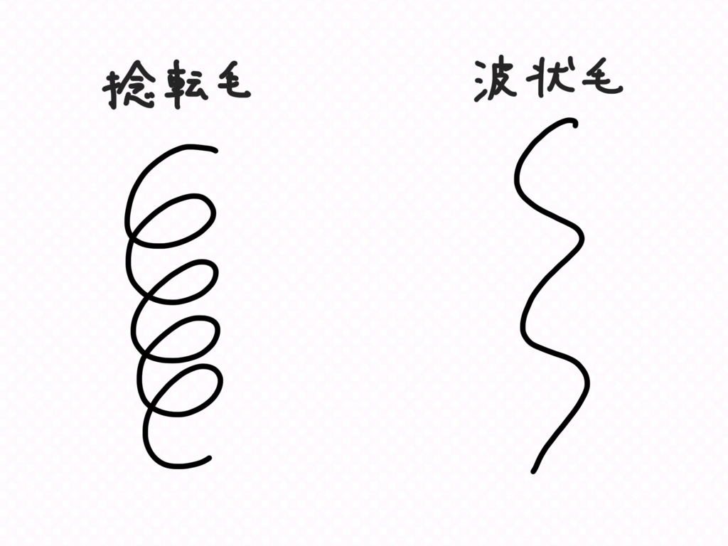 f:id:toenithm:20180227230439j:plain