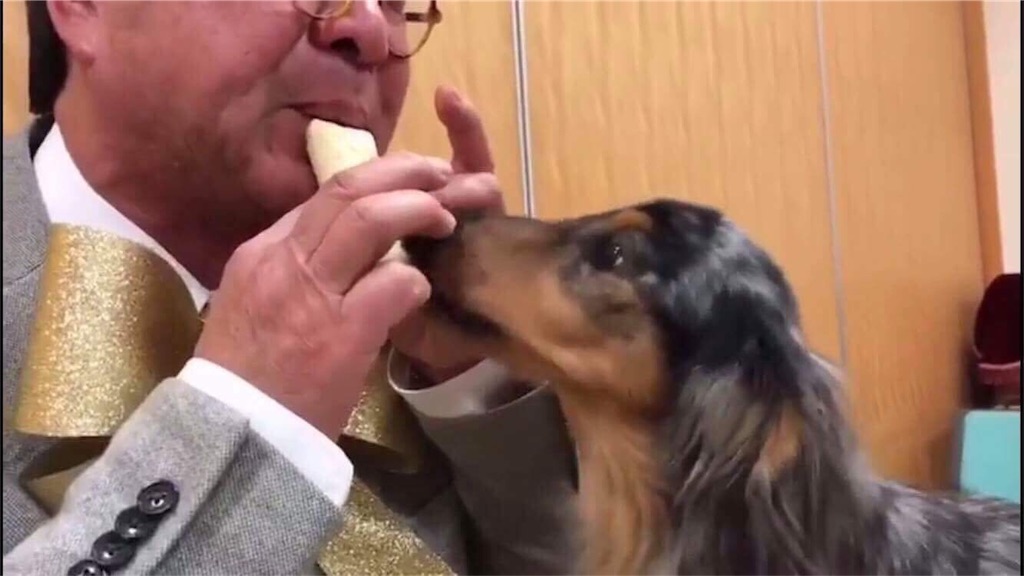 f:id:toflute28:20180127185829j:image f:id:toflute28:20180127185829j:image