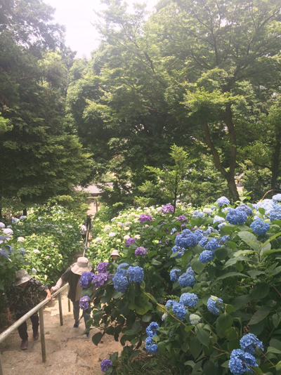 f:id:tofukai:20170704165903j:plain f:id:tofukai:20170704165903j:plain