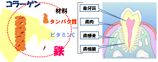 f:id:tofukai:20180514201147p:plain f:id:tofukai:20180514201147p:plain