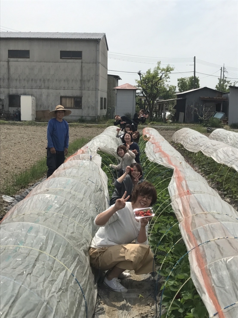 f:id:tofukai:20180514201515j:plain f:id:tofukai:20180514201515j:plain