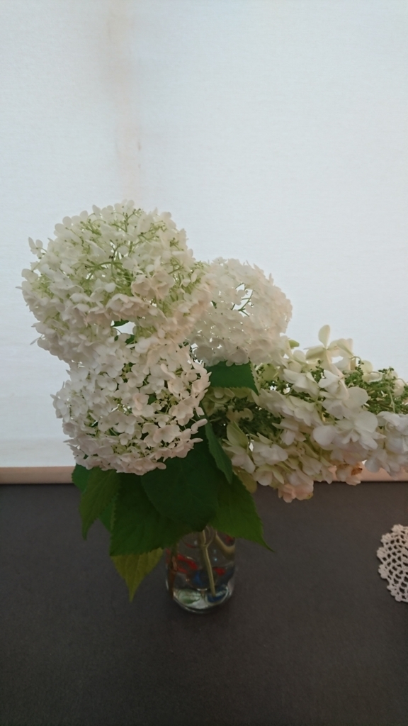 f:id:tofukai:20180615182123j:plain f:id:tofukai:20180615182123j:plain