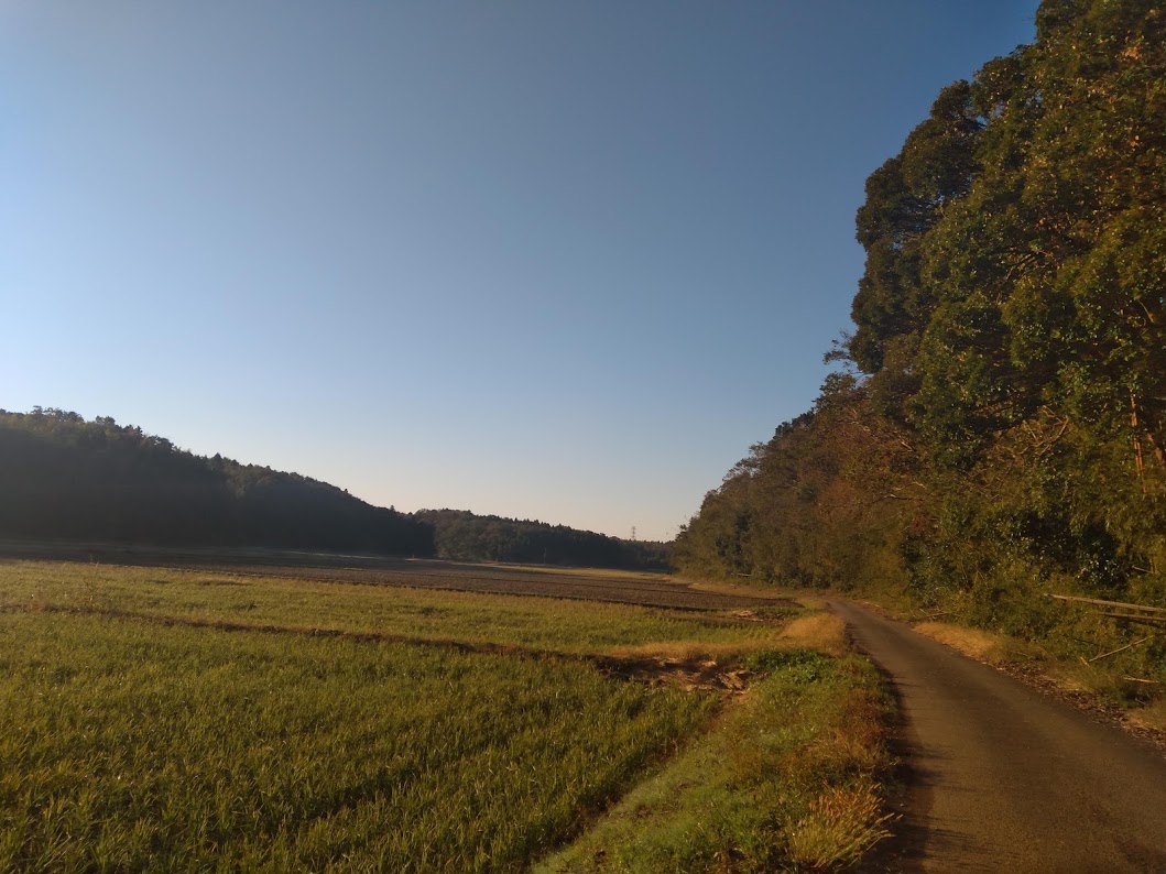 f:id:togakure:20191107183841j:plain