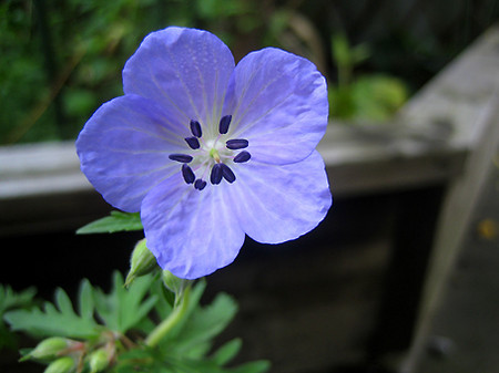 f:id:togatoga:20080719085034j:image