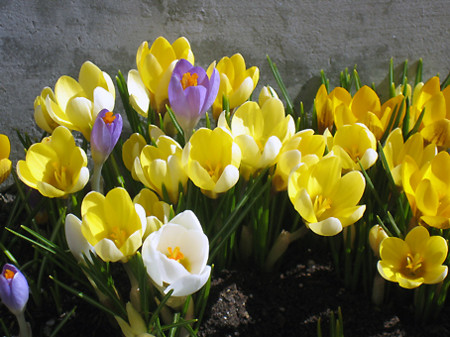 f:id:togatoga:20090329101449j:image f:id:togatoga:20090329101449j:image
