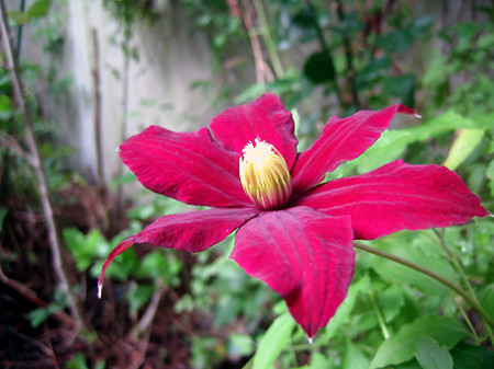 f:id:togatoga:20090711073656j:image