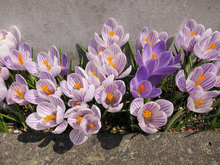 f:id:togatoga:20120421105758j:image