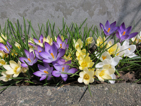 f:id:togatoga:20120421105814j:image