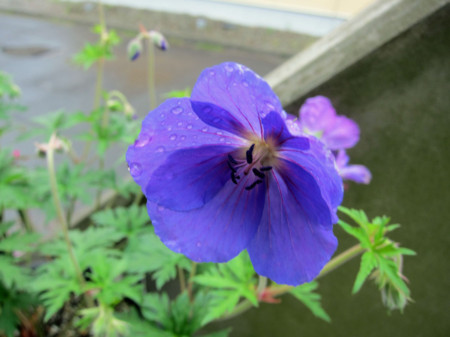 f:id:togatoga:20120610073355j:image f:id:togatoga:20120610073355j:image