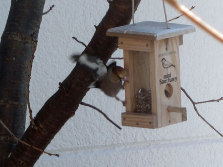 f:id:togatoga:20121224130749j:image