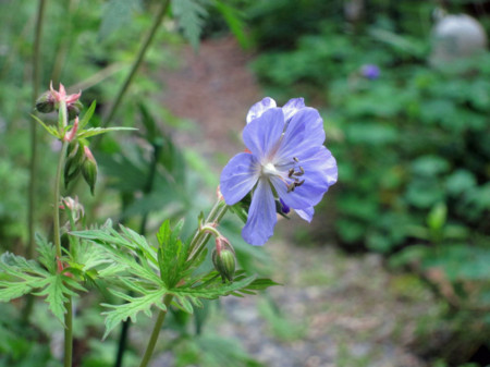 f:id:togatoga:20130629090656j:image f:id:togatoga:20130629090656j:image