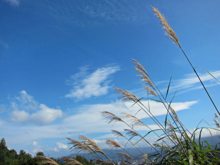 f:id:togatoga:20130914144651j:image