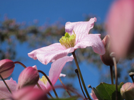 f:id:togatoga:20140601085413j:image f:id:togatoga:20140601085413j:image