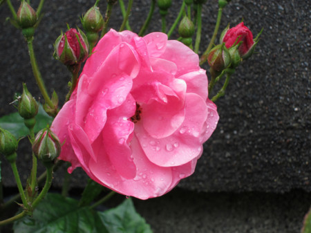 f:id:togatoga:20140628155152j:image f:id:togatoga:20140628155152j:image