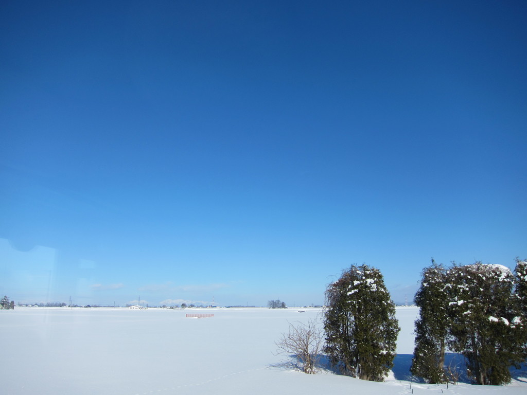 f:id:togatoga:20190126120850j:plain f:id:togatoga:20190126120850j:plain