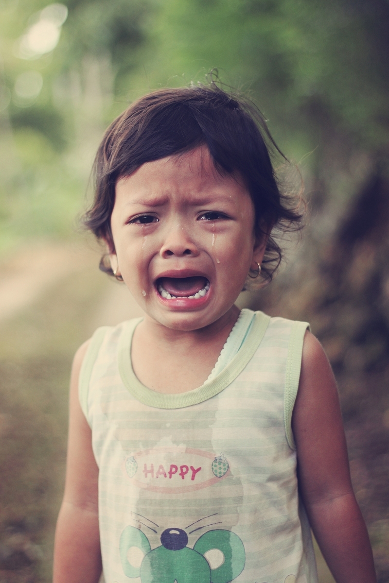 f:id:togetherwithkotaro:20190724214101j:plain f:id:togetherwithkotaro:20190724214101j:plain