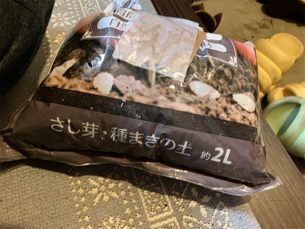 f:id:togimarufriends:20230307194715j:image f:id:togimarufriends:20230307194715j:image