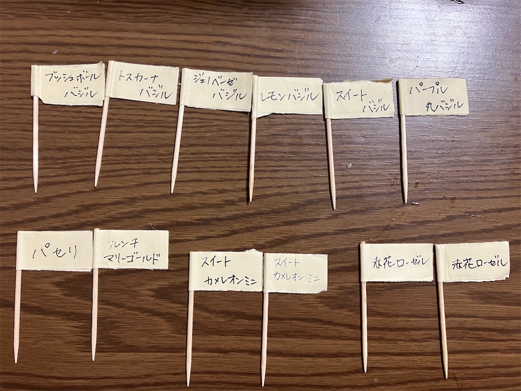 f:id:togimarufriends:20230307194755j:image f:id:togimarufriends:20230307194755j:image