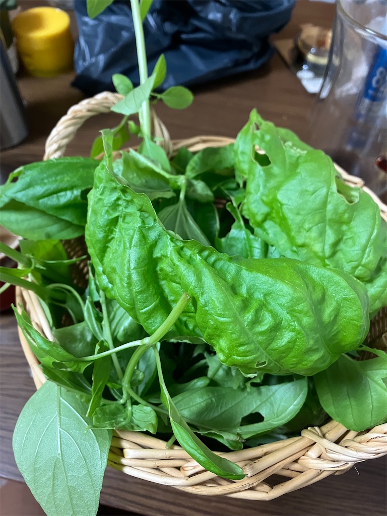 f:id:togimarufriends:20230826030837j:image f:id:togimarufriends:20230826030837j:image