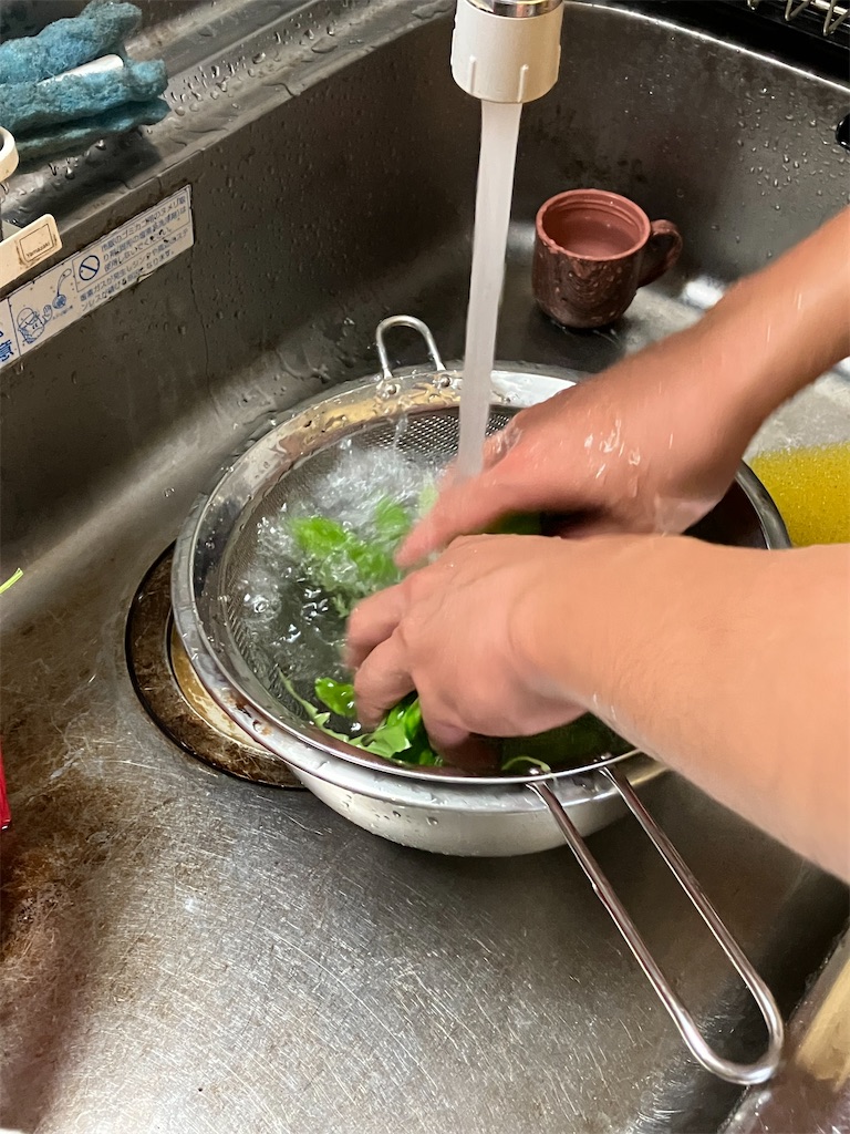 f:id:togimarufriends:20230826030845j:image f:id:togimarufriends:20230826030845j:image