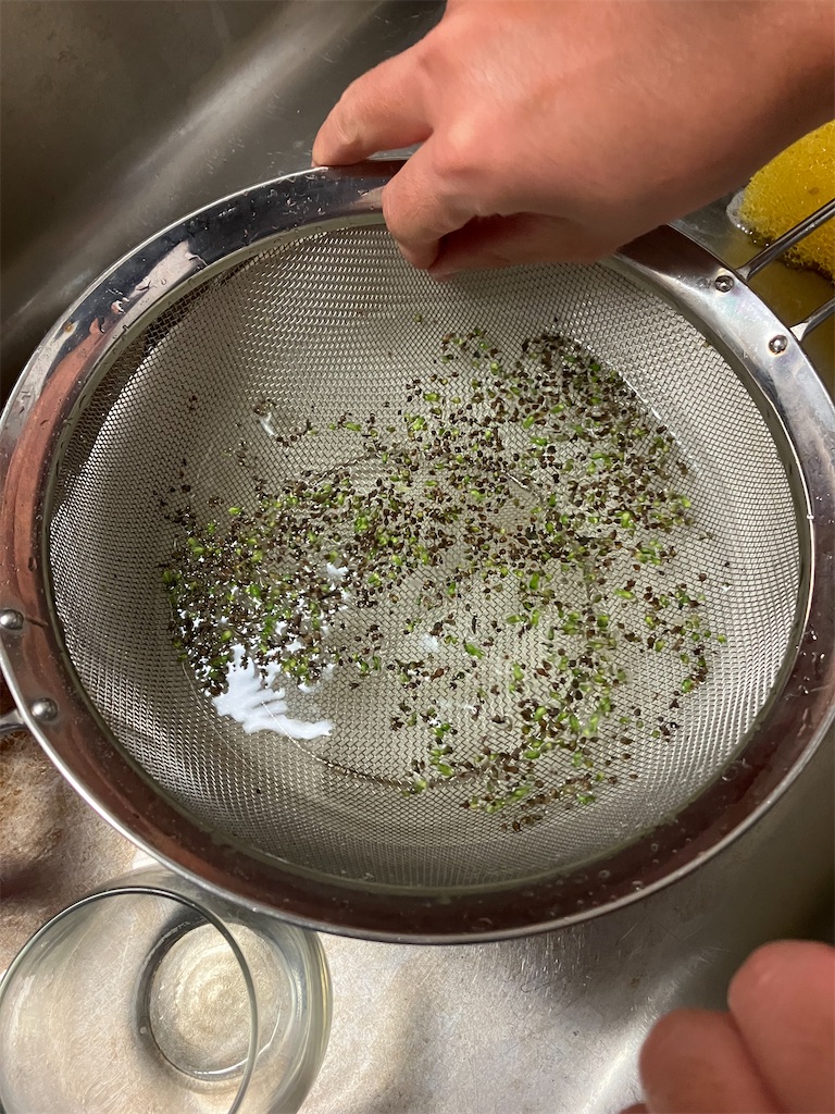 f:id:togimarufriends:20231020014920j:image