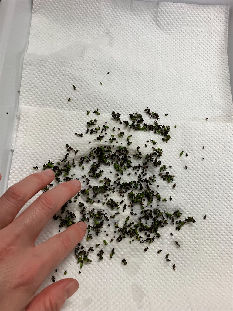 f:id:togimarufriends:20231020014924j:image